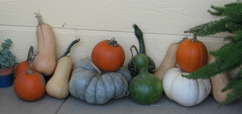 Pile of Pumpkins