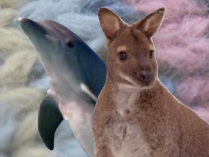 Porpoise and Wallaby